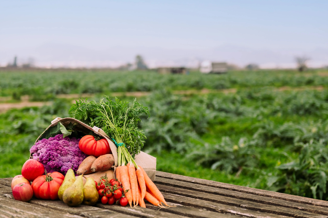 Bolsa llena frutas verduras organicas