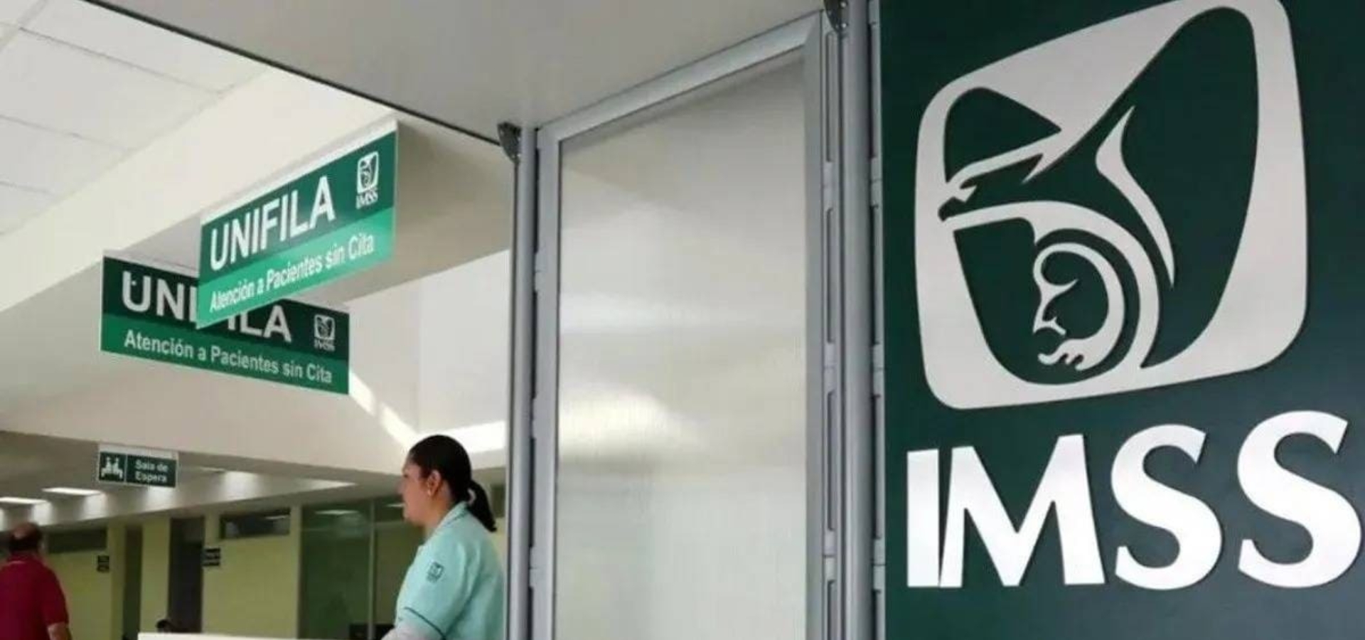 Imss repatriados