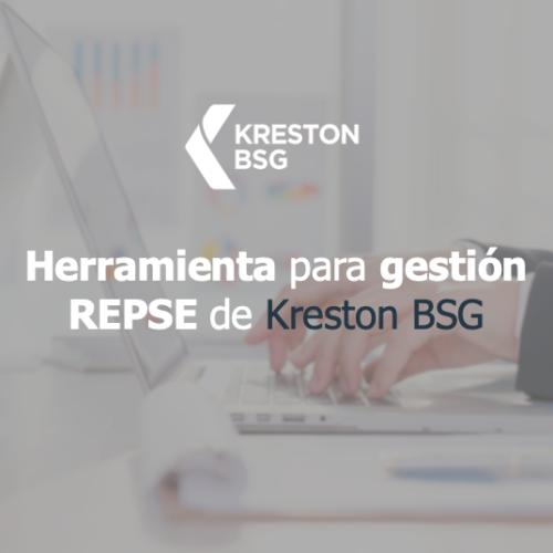 Herramienta gestion repse krestonbsg2