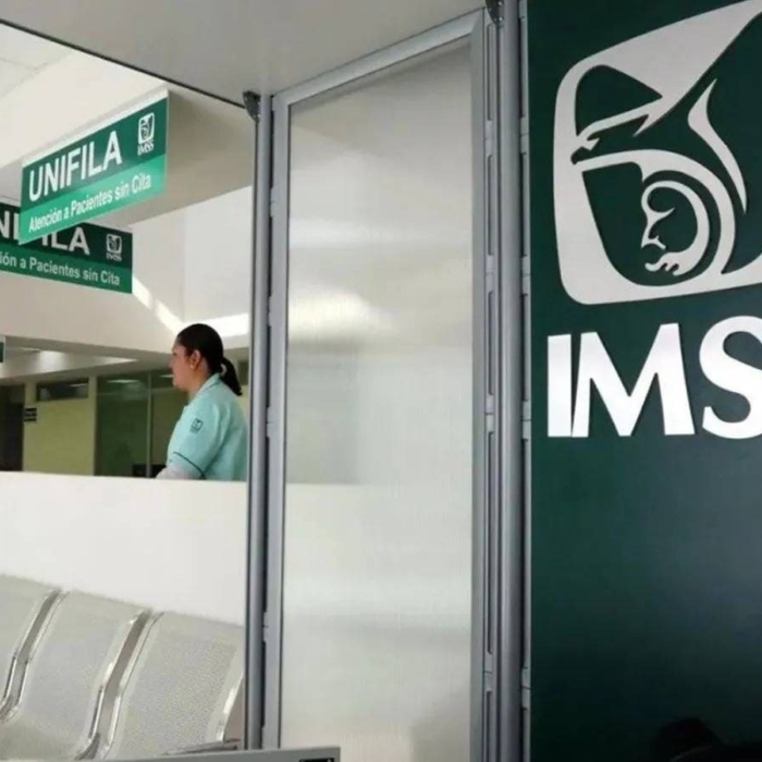Imss repatriados